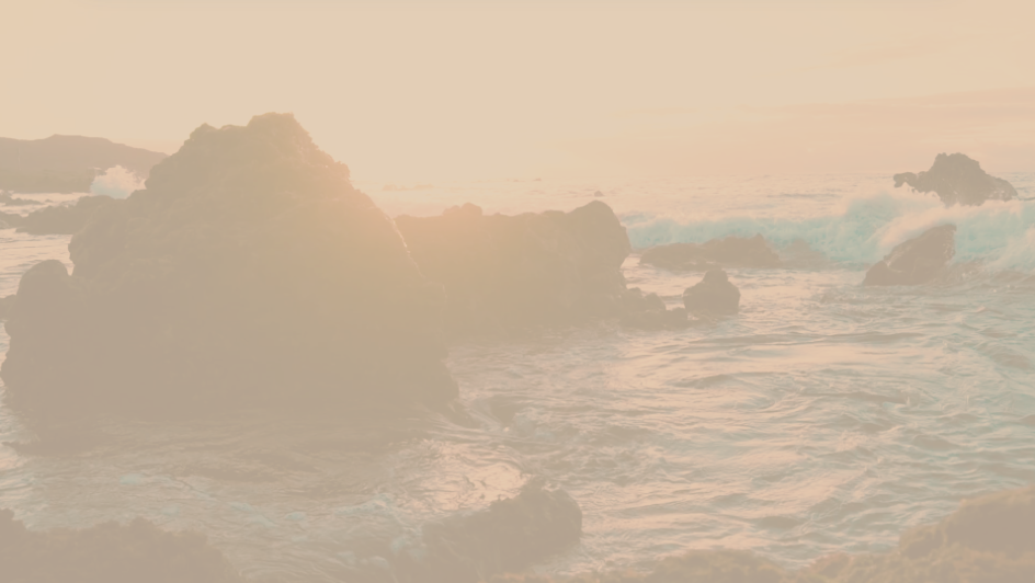 Fondo mar en tono sepia